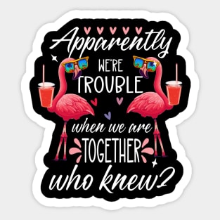 Apparently We Are Trouble When We Are Together Sticker